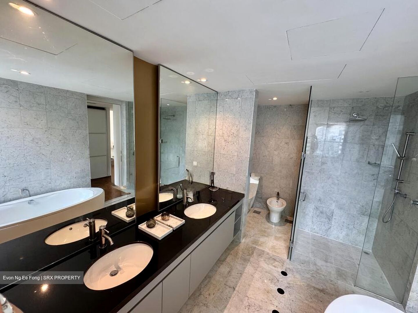 Draycott Eight (D10), Condominium #577457371